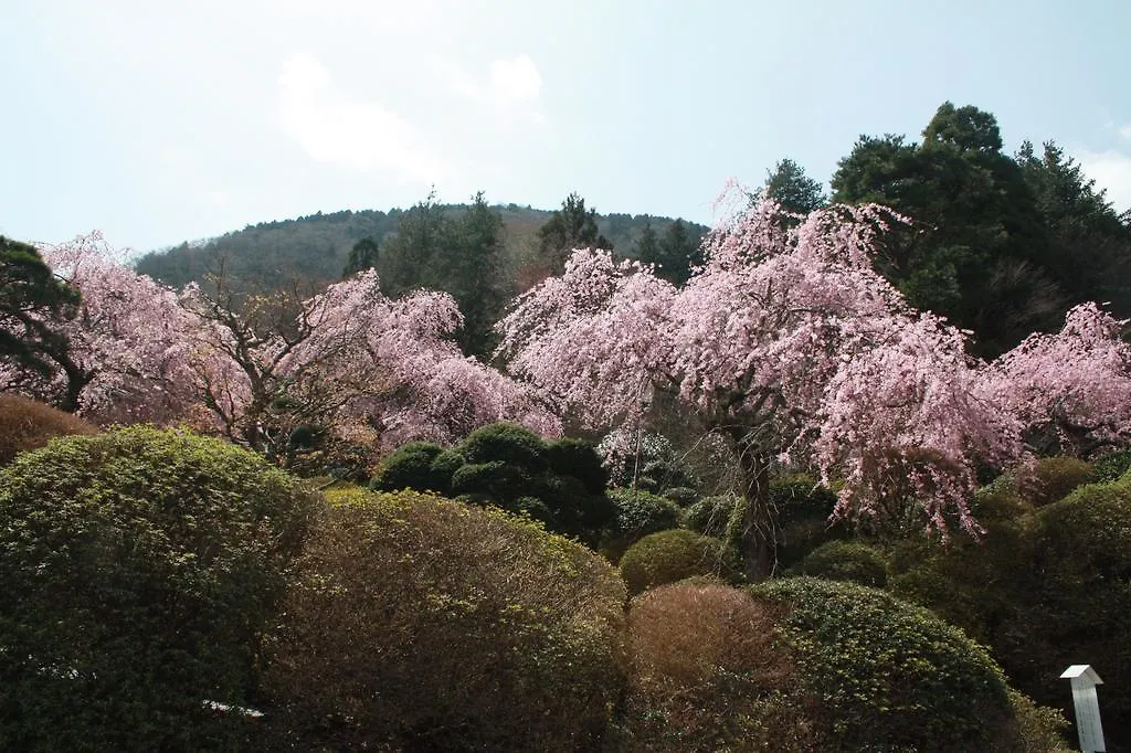 Ryokan Hakone Kowakien Miyamafurin Hotel